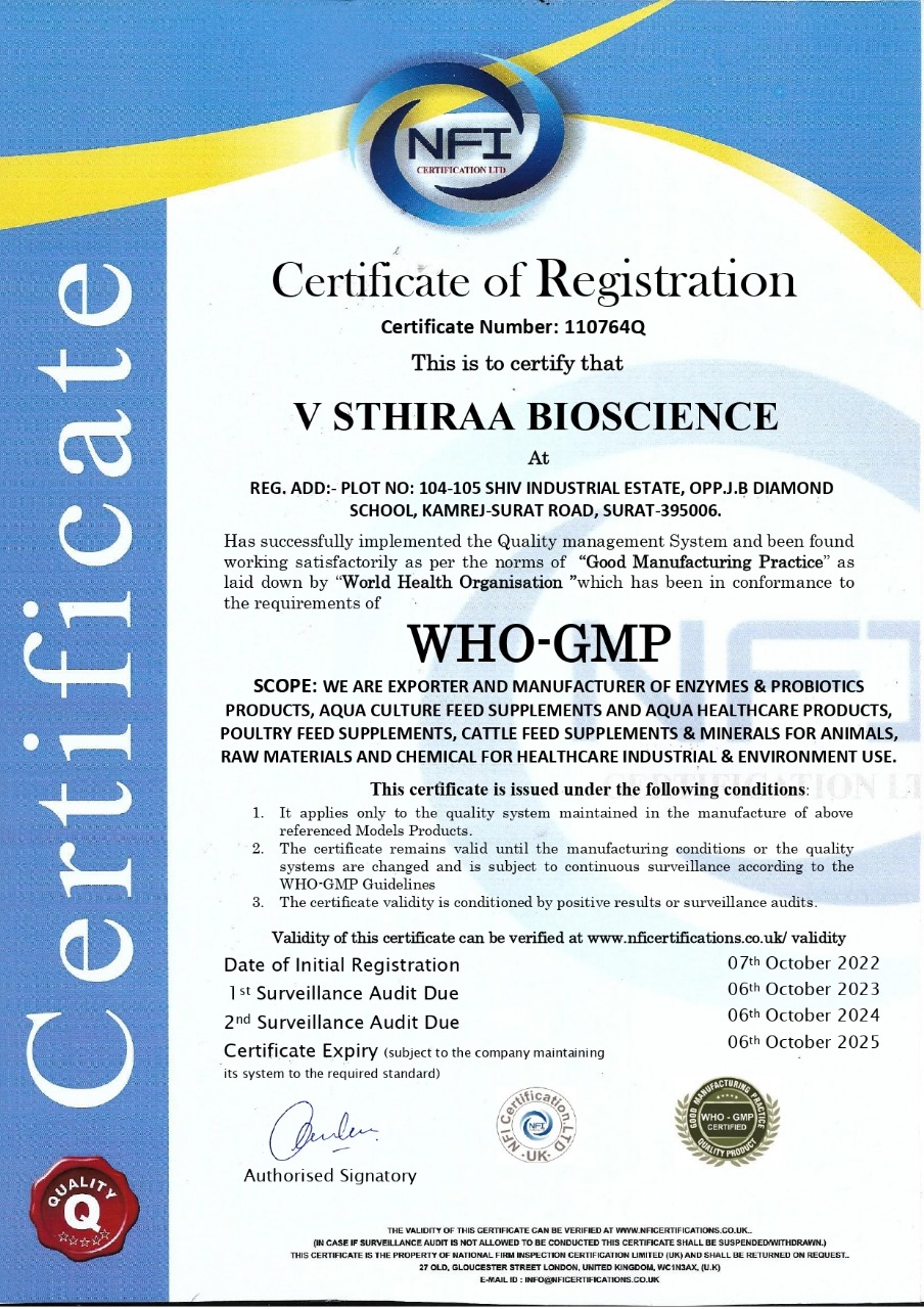 WHO GMP Certificate