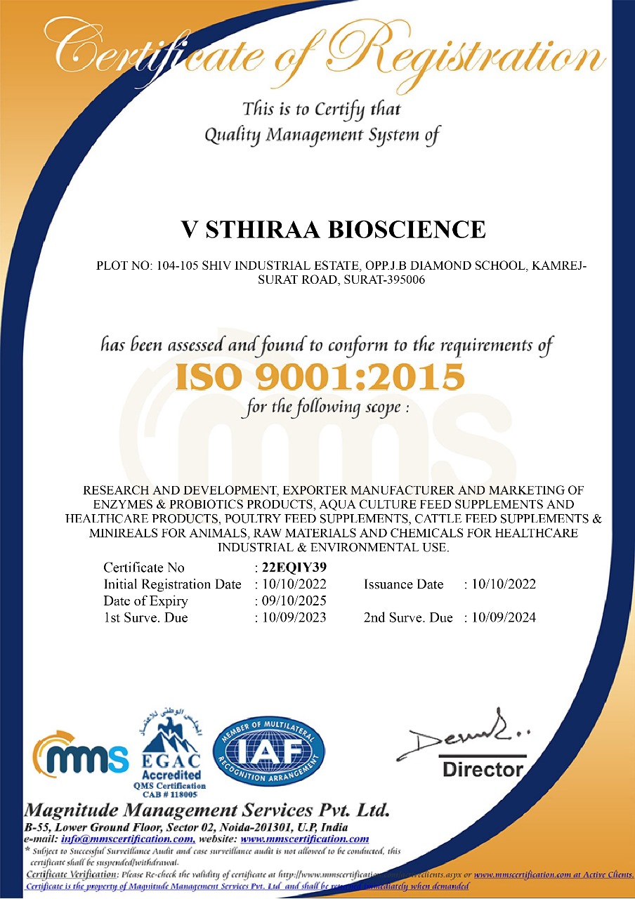 ISO Certificate