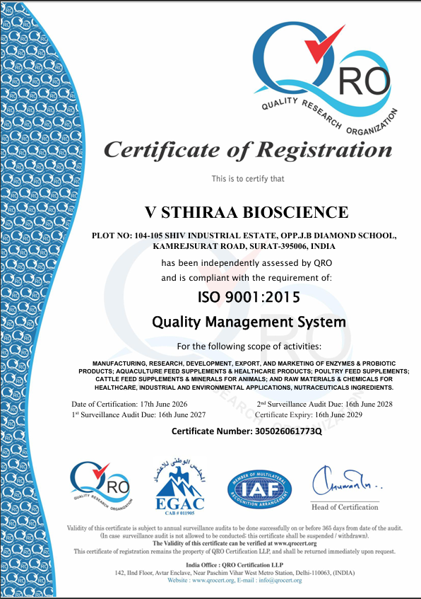 MSME Certificate